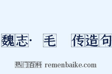 魏志·毛传造句是什么意思的图片